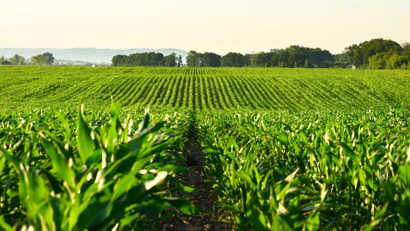 O que trava - e o que move - o agro na região Centro-Oeste 